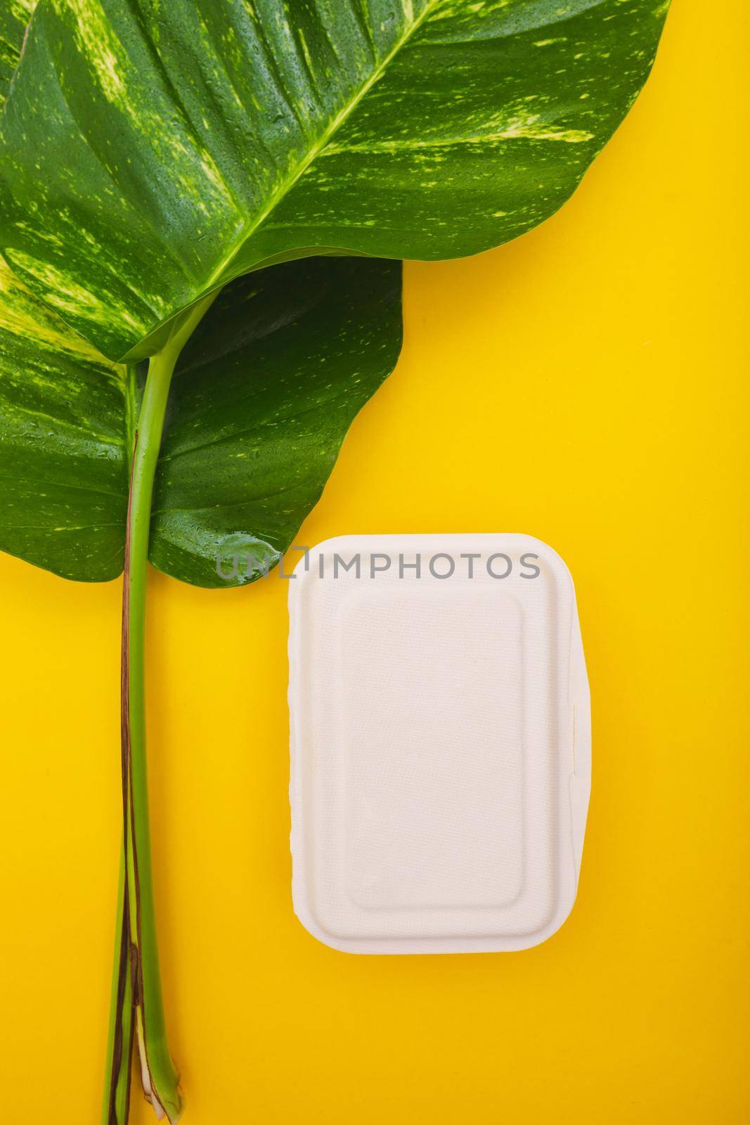 Box bagasse for container food by Wasant