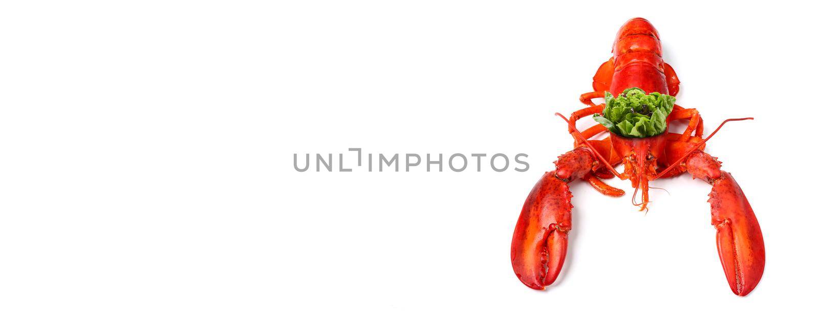 King of lobster with vegetable crown isolated on white background