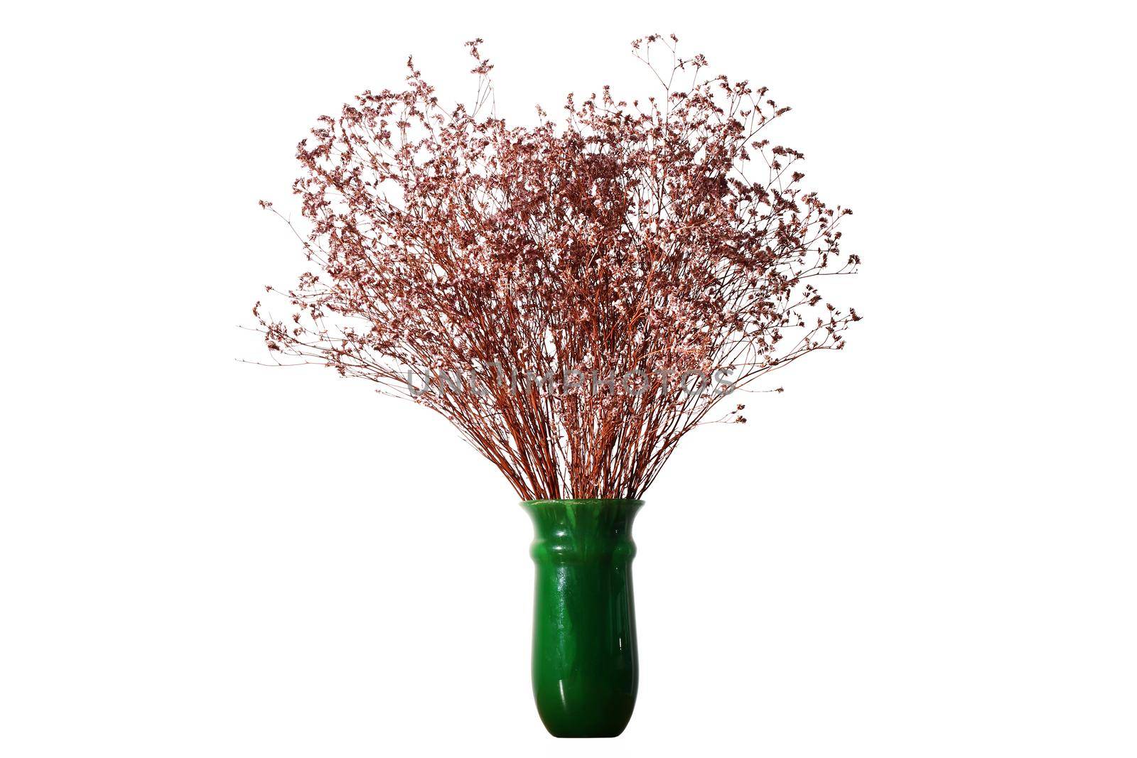 Dried flowers on vase by Wasant