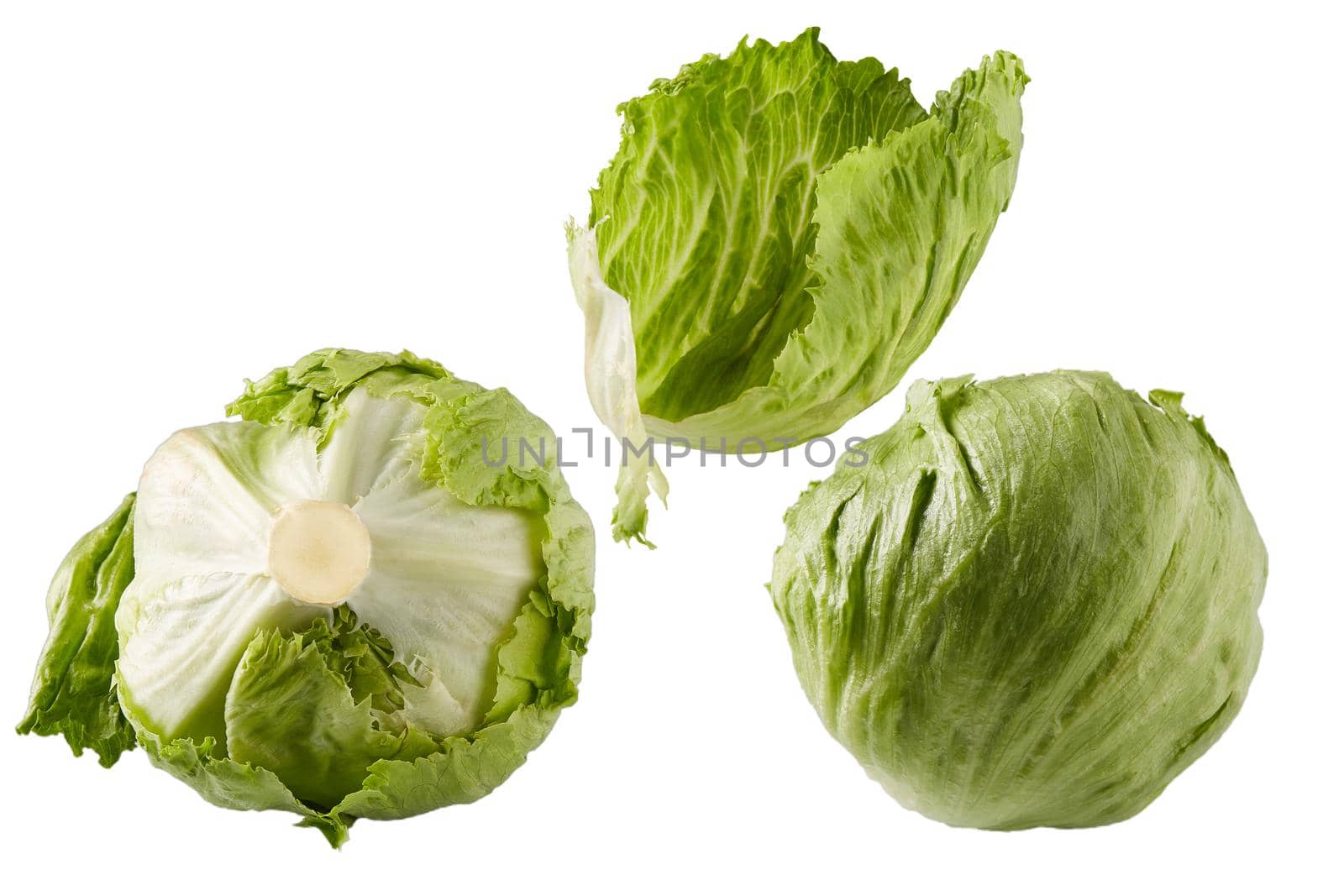 Cabbage isolated on white with clipping paths