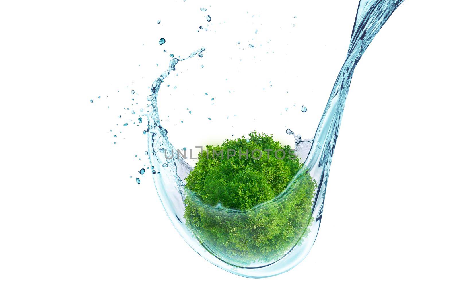 Water splash with green earth  by Wasant