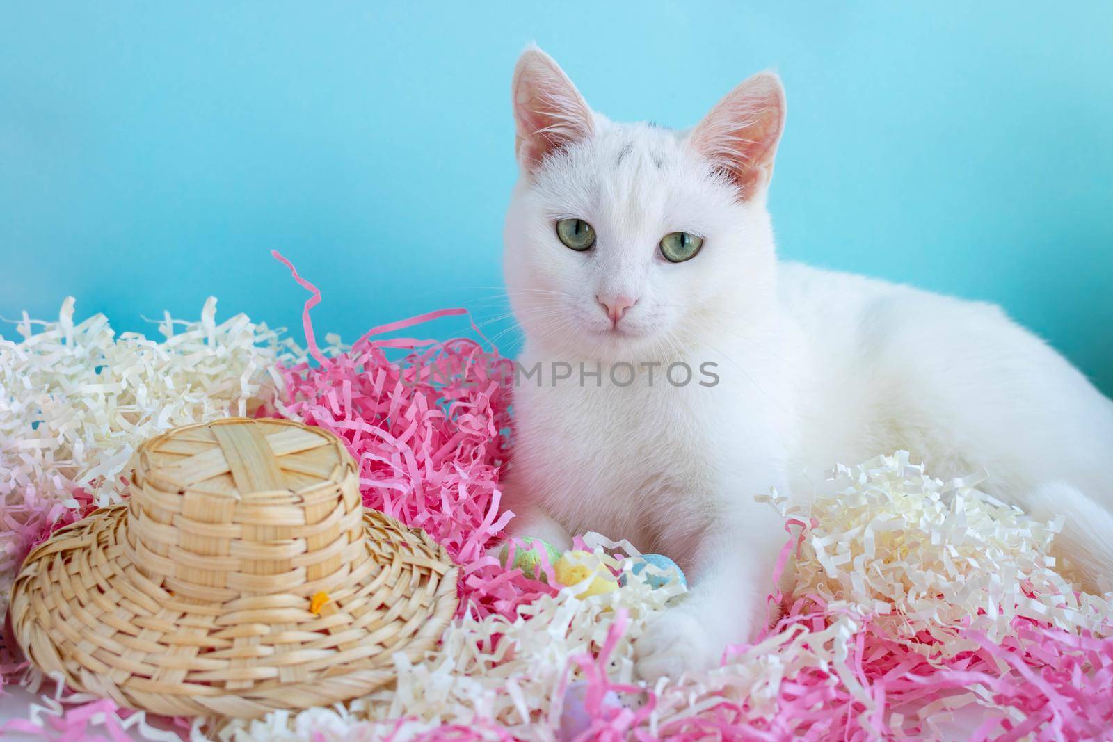 A cute white cat lies on the tinsel next to eggs and a straw hat. Easter Concept.