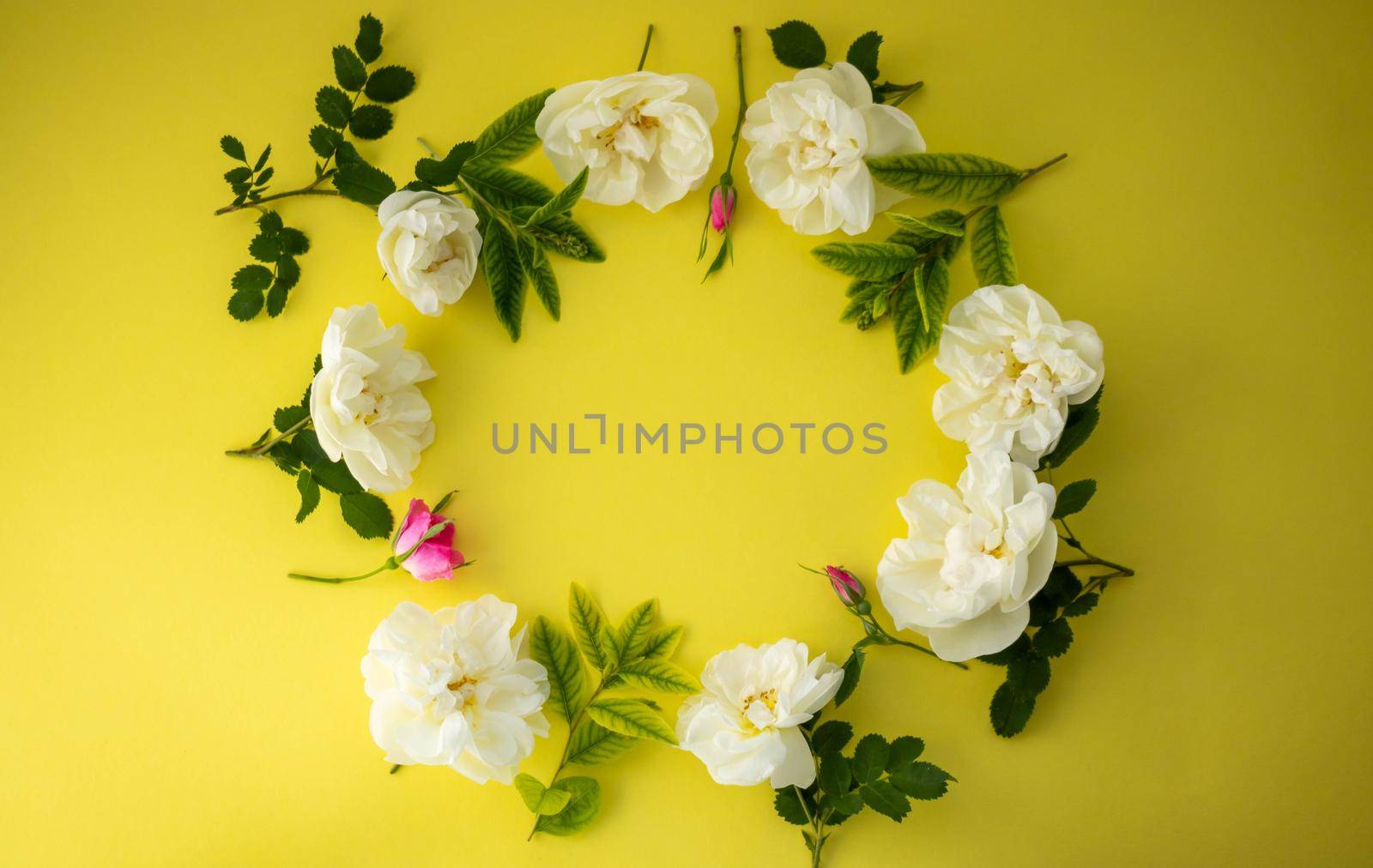 On a yellow background, a round frame of flowers and rosehip leaves.The festive concept. Space for text.