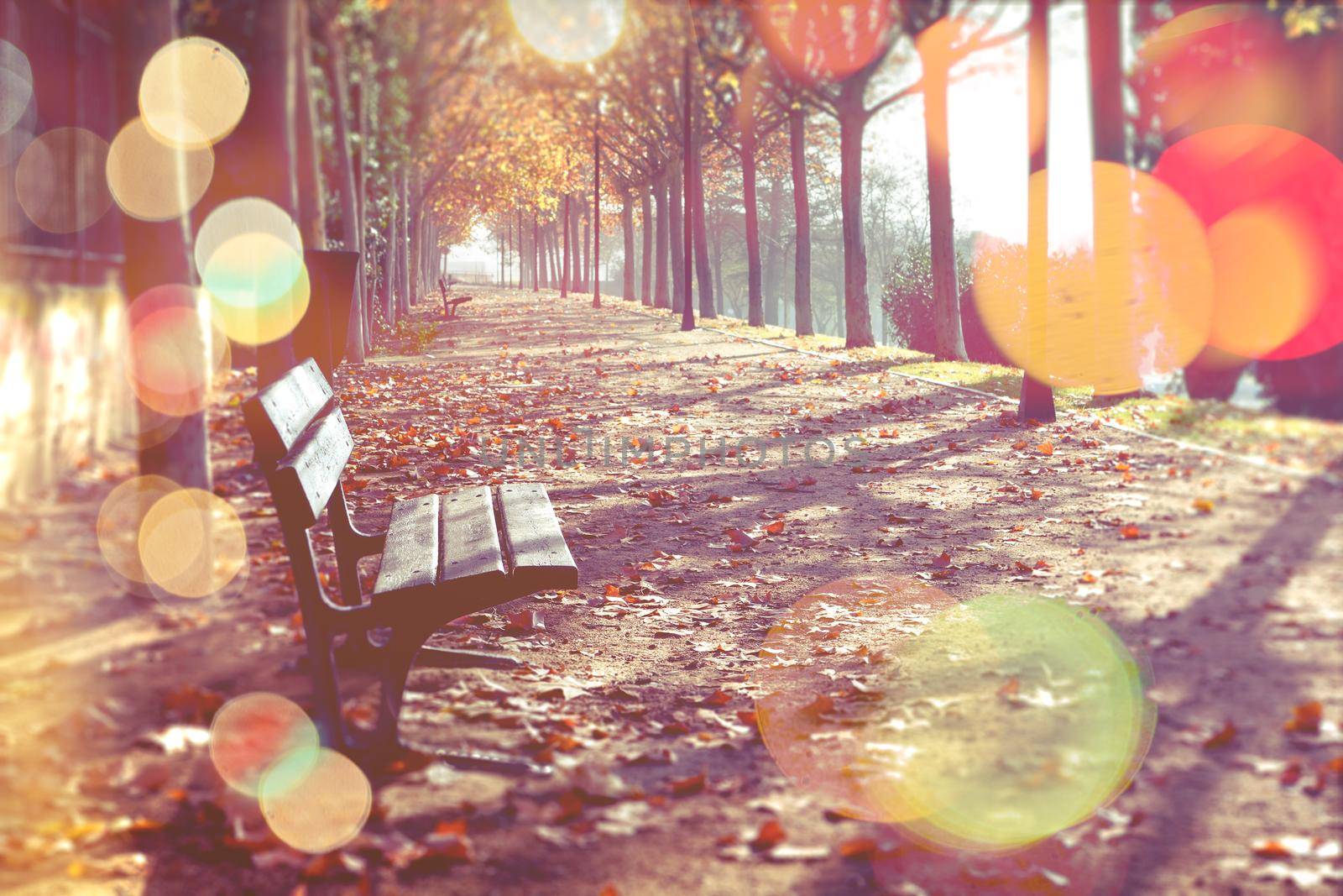 Abstract autumn background by carloscastilla