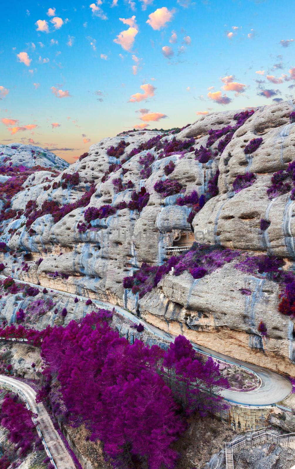 Natural scenery scene in purple tone by carloscastilla