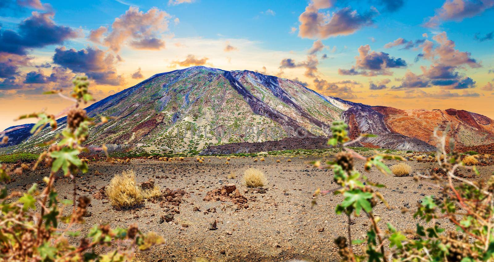 Teide volcano in Canary island.Tenerife national park  by carloscastilla