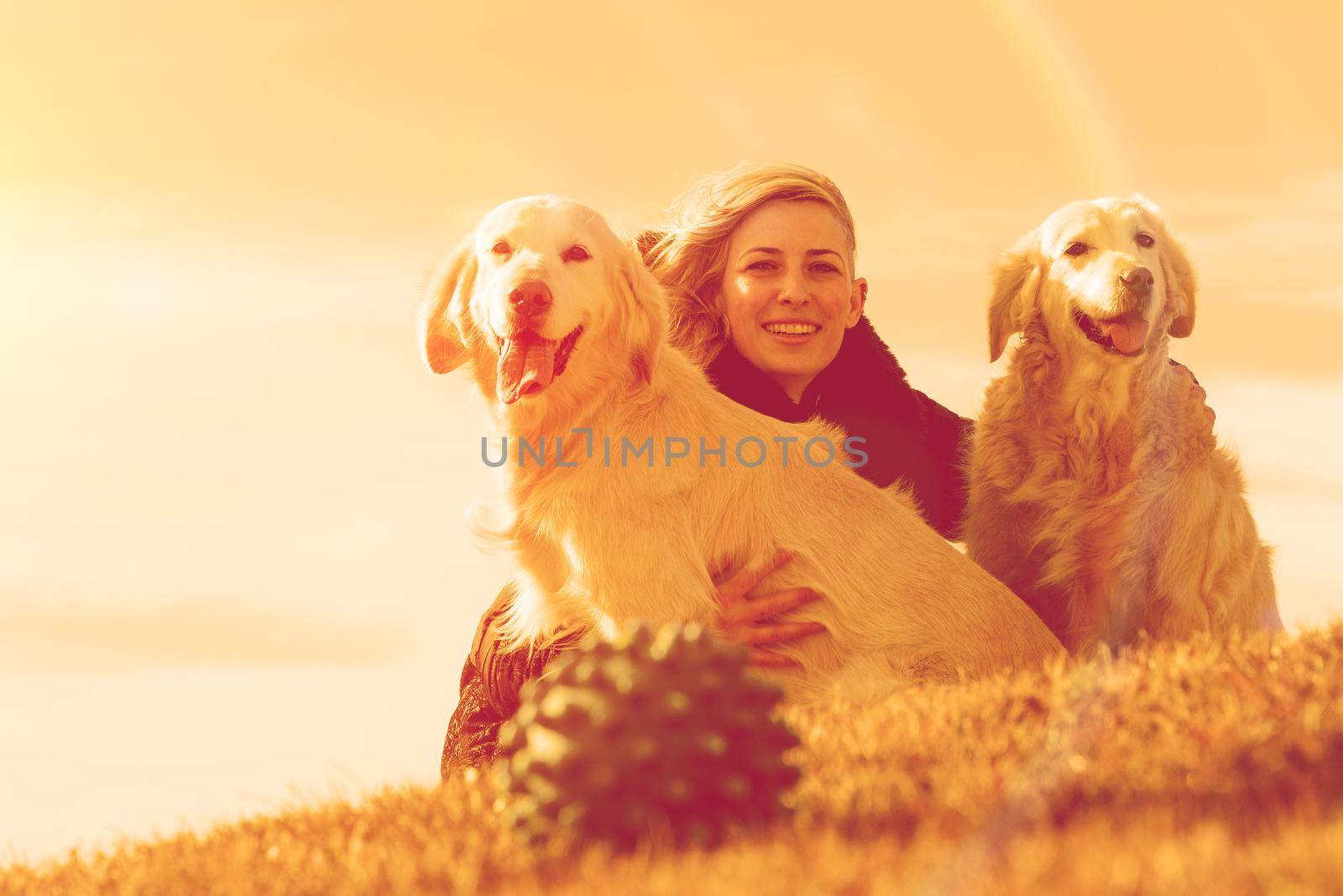 Woman and dogs portrait portrait playing in the park.Companion pets concept