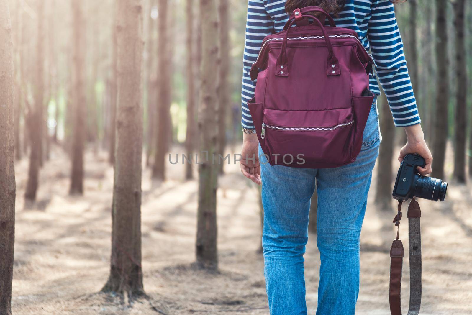 Young female woman lifestyle photographer travel taking photo in forest nature with backpack and copy space.