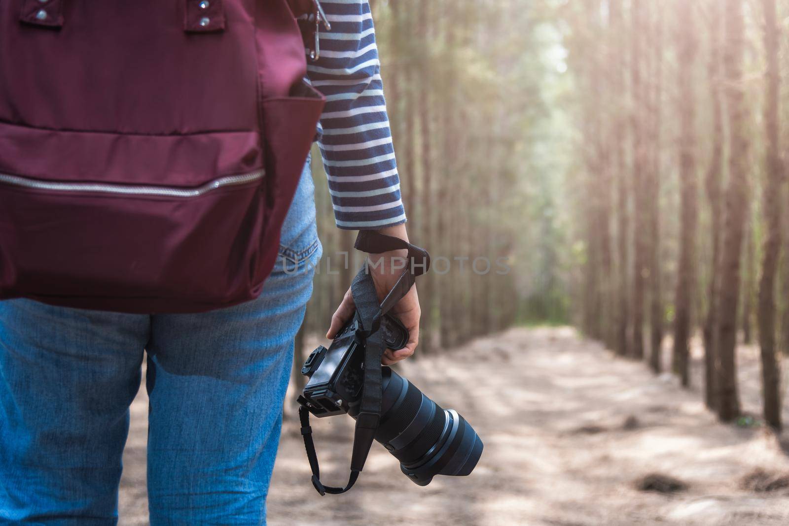 Young woman lifestyle using DSLR camera photographer travel taking photo in forest nature park and backpack and copy space