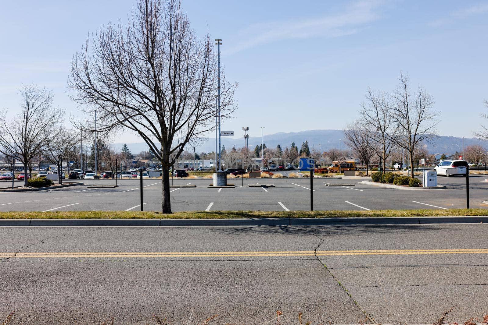 Peaceful view of leafless trees in empty parking lot on sunny day. Bright blue skyline above car park with trees and mountains as background. Vehicles and outdoors