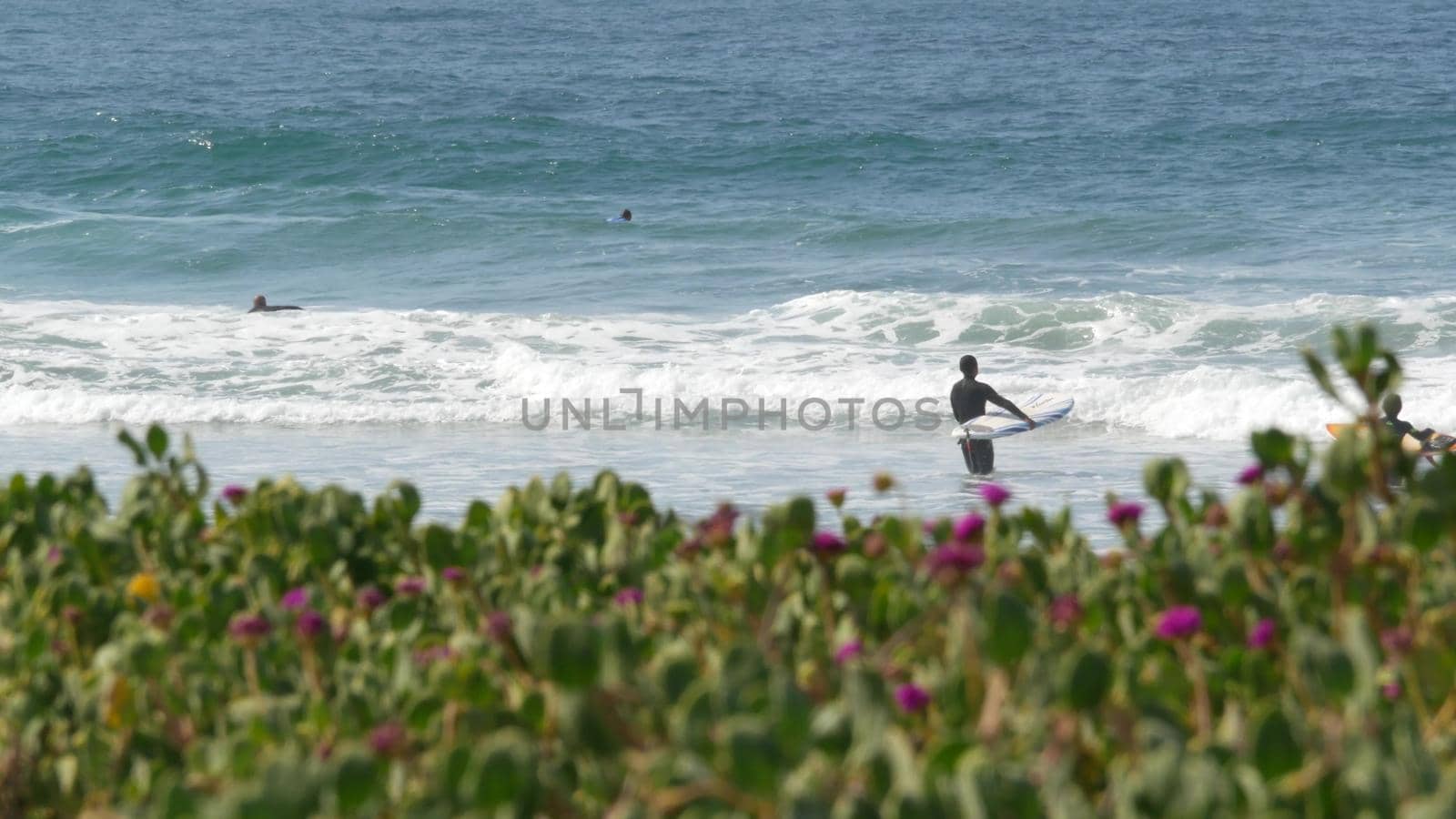 Encinitas, California USA - 23 Feb 2020: Surfers in ocean, pacific coast big blue sea water waves. People surfing, sport with surfboards. Healthy lifestyle, watersport hobby. Person and surf or tide.