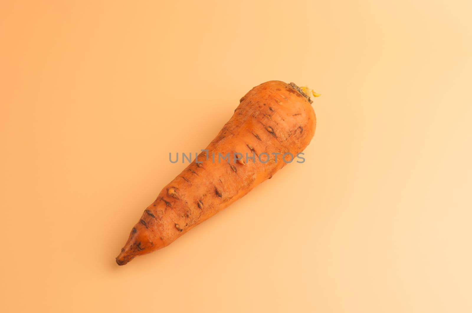 organic carrot in the mud on beige background,not peeled sweet carrots on the surface,young carrots from garden in minimalist style,vitamins,vegetarian food,healthy eating concept.Top view.Copy space.