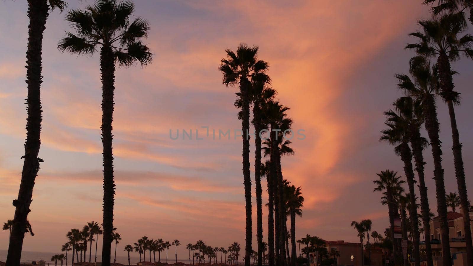 Oceanside, California USA - 27 Jan 2020: Palms silhouette, twilight sky, dusk nightfall atmosphere. Tropical pacific ocean beach, sunset afterglow aesthetic. Dark black palmtree, Los Angeles vibes.