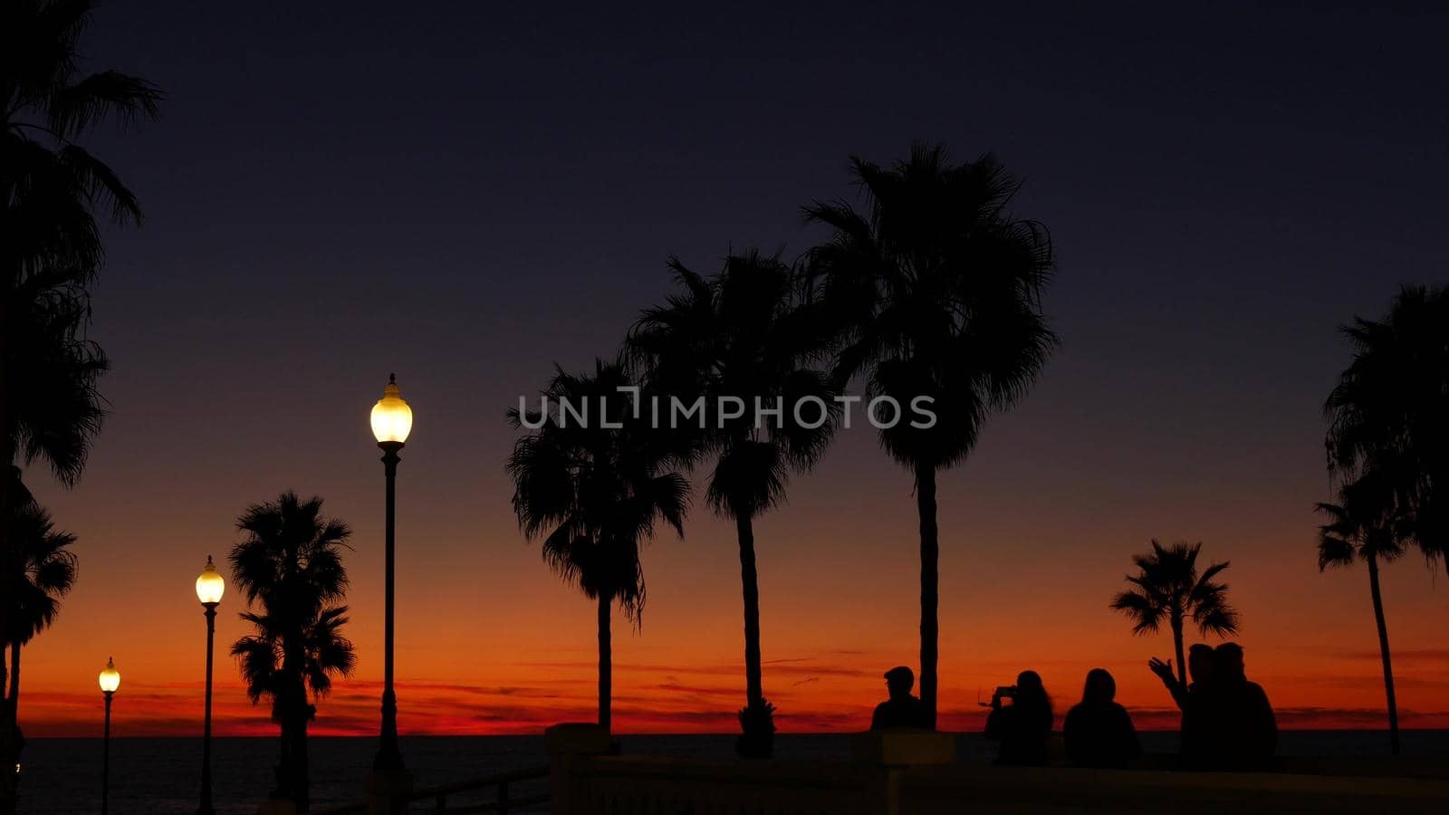 Palms silhouette twilight sky. People walking. Oceanside pier, California USA. Tropical beach sunset by DogoraSun