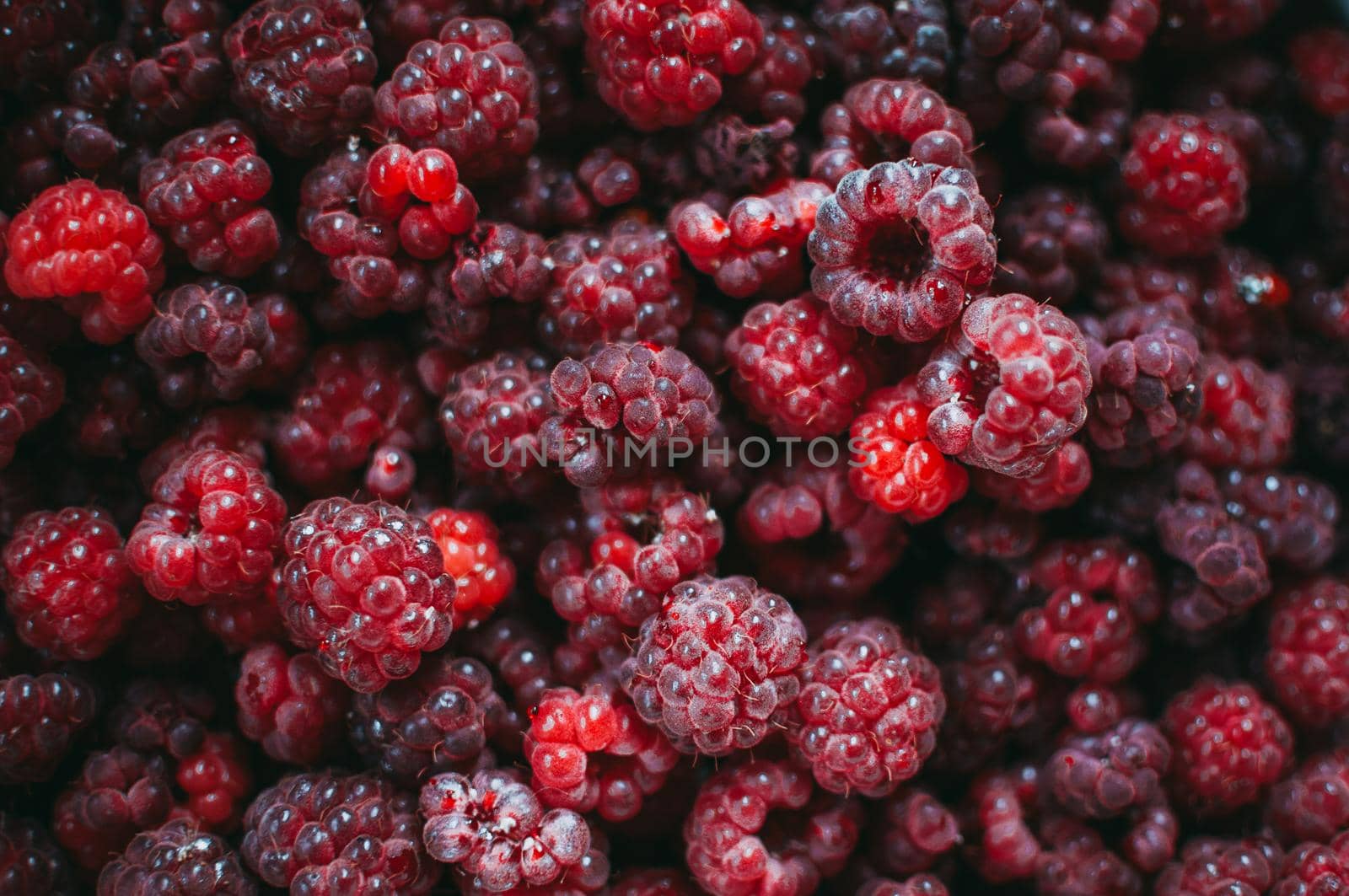 Raspberry fresh berry eco friendly background. Macro photo food of raspberries. The concept of health, vitamins for colds, proper nutrition. Template for design.