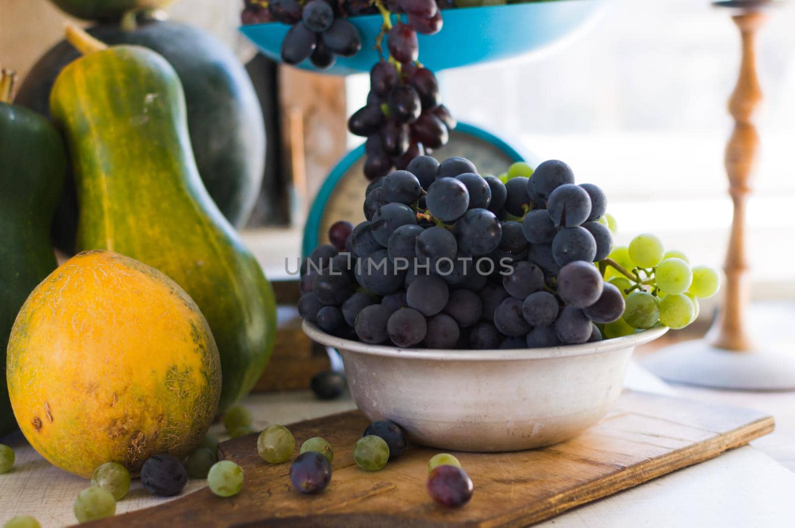 Autumn still life with pumpkins and grapes in a metal bowl, grapes are scattered around on a wooden white table. Autumn harvest concept. Happy Thanksgiving. Selective focus. Template for design.