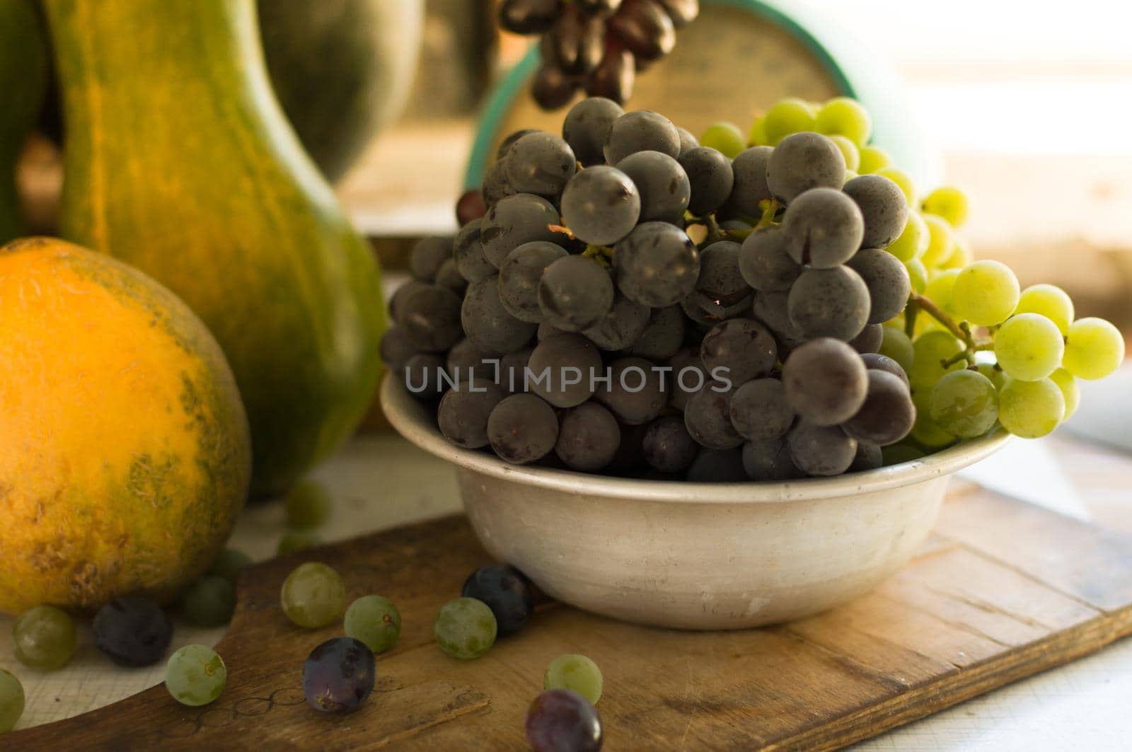 Autumn still life with pumpkins and grapes in a metal bowl, grapes are scattered around on a wooden white table. Autumn harvest concept. Happy Thanksgiving. Selective focus. Template for design.