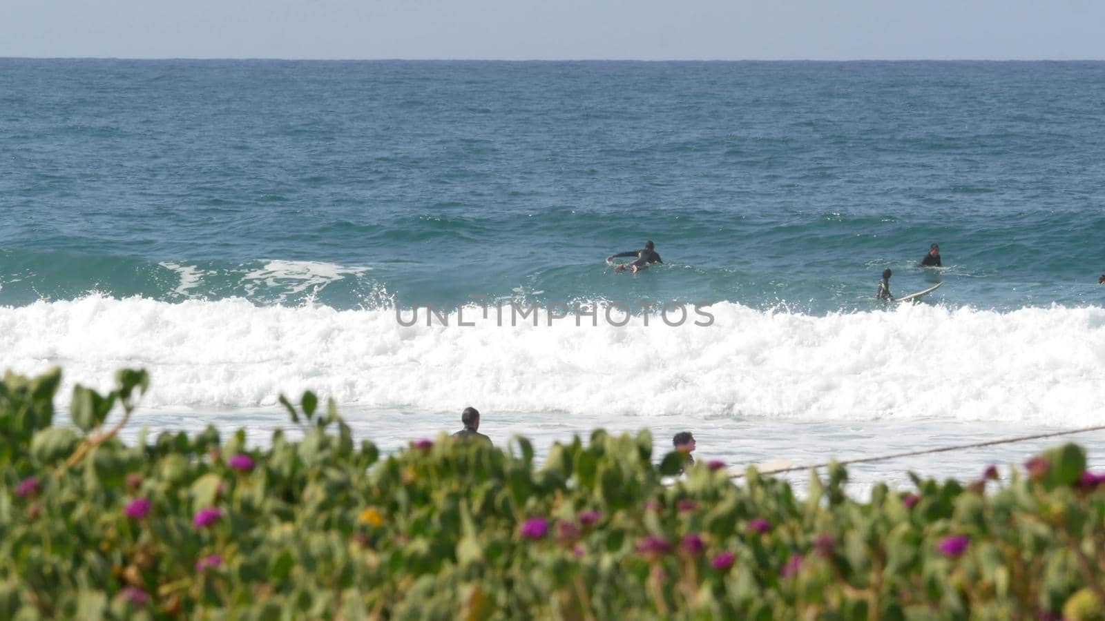 Surfers in ocean, pacific coast sea water waves. People surfing with surfboards in California USA. by DogoraSun