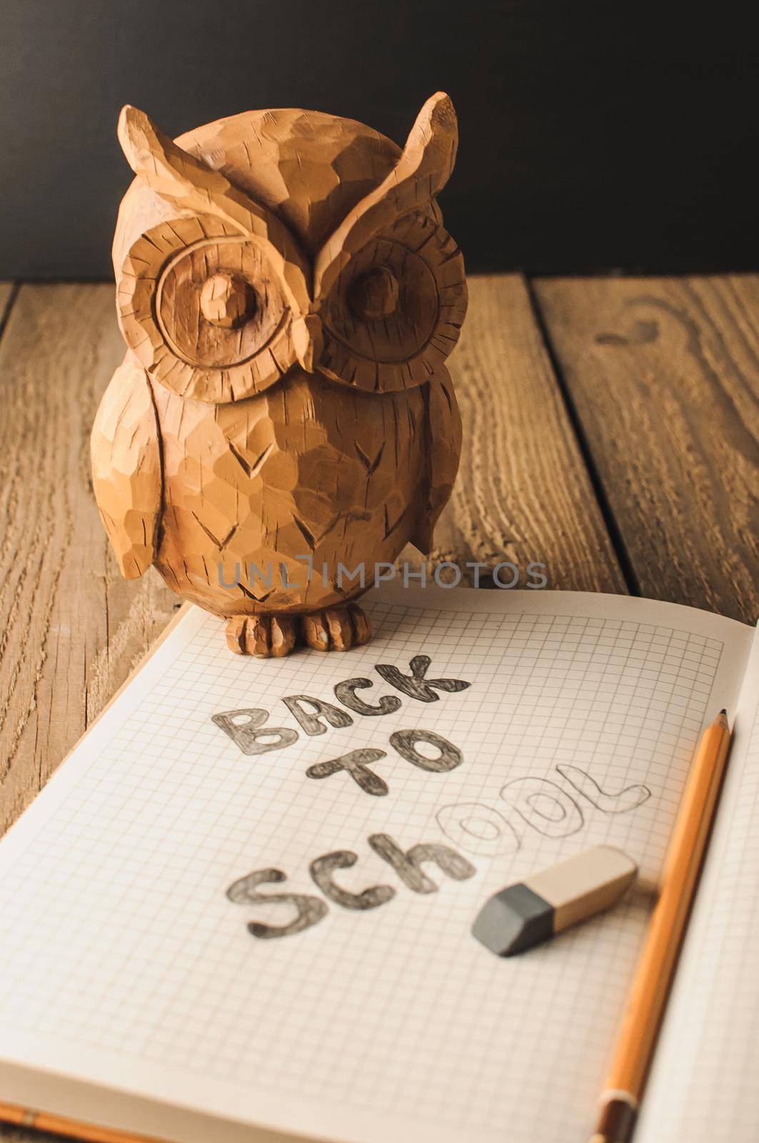 Back to school, the concept of parenting. Owl on a wooden table. The inscription on the slate color chalk. School supplies, rustic.