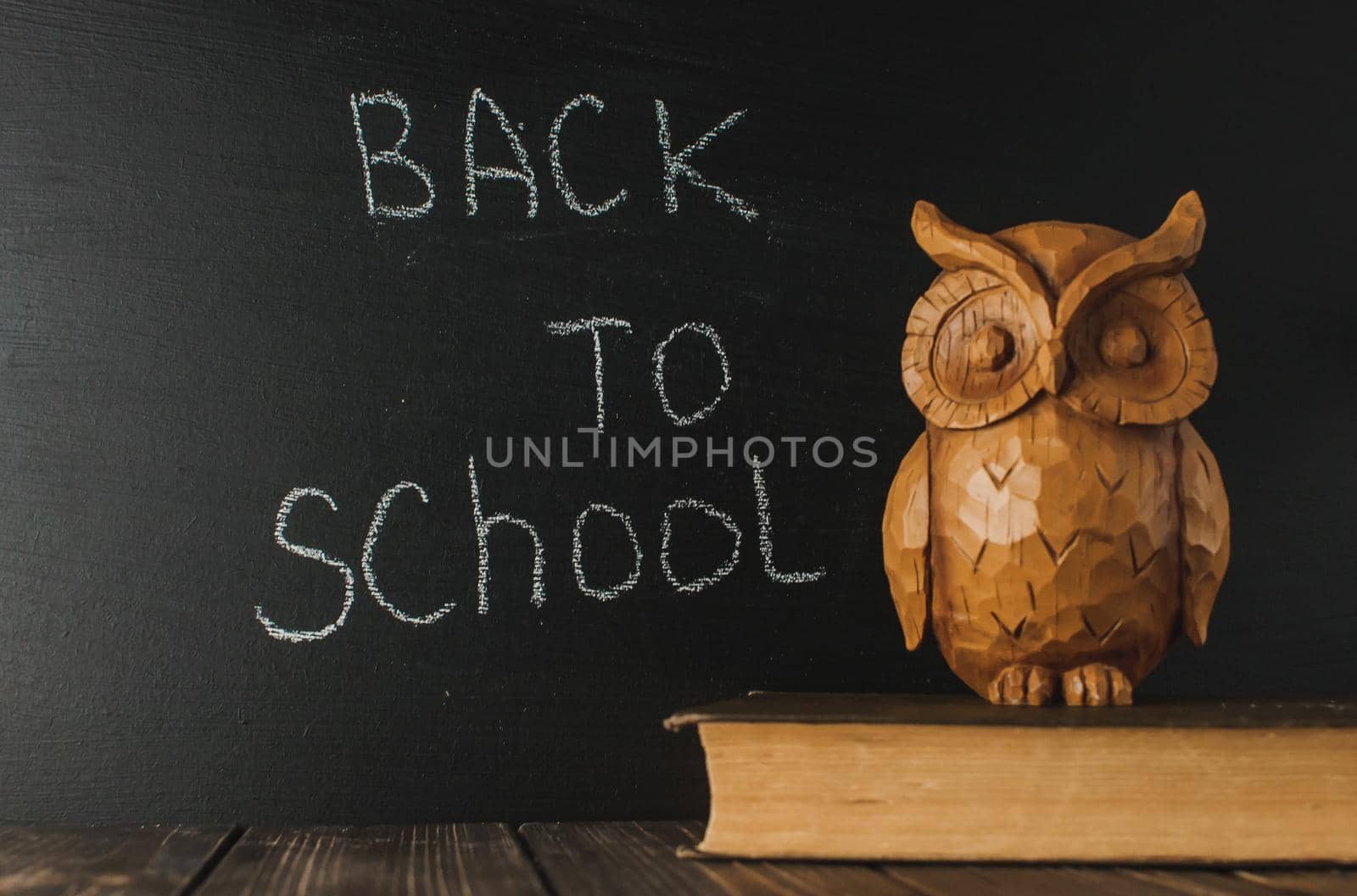 Back to school, the concept of parenting. The inscription on the blackboard with white chalk, next is the owl on the book. Place for text. Copy space. by Alla_Morozova93