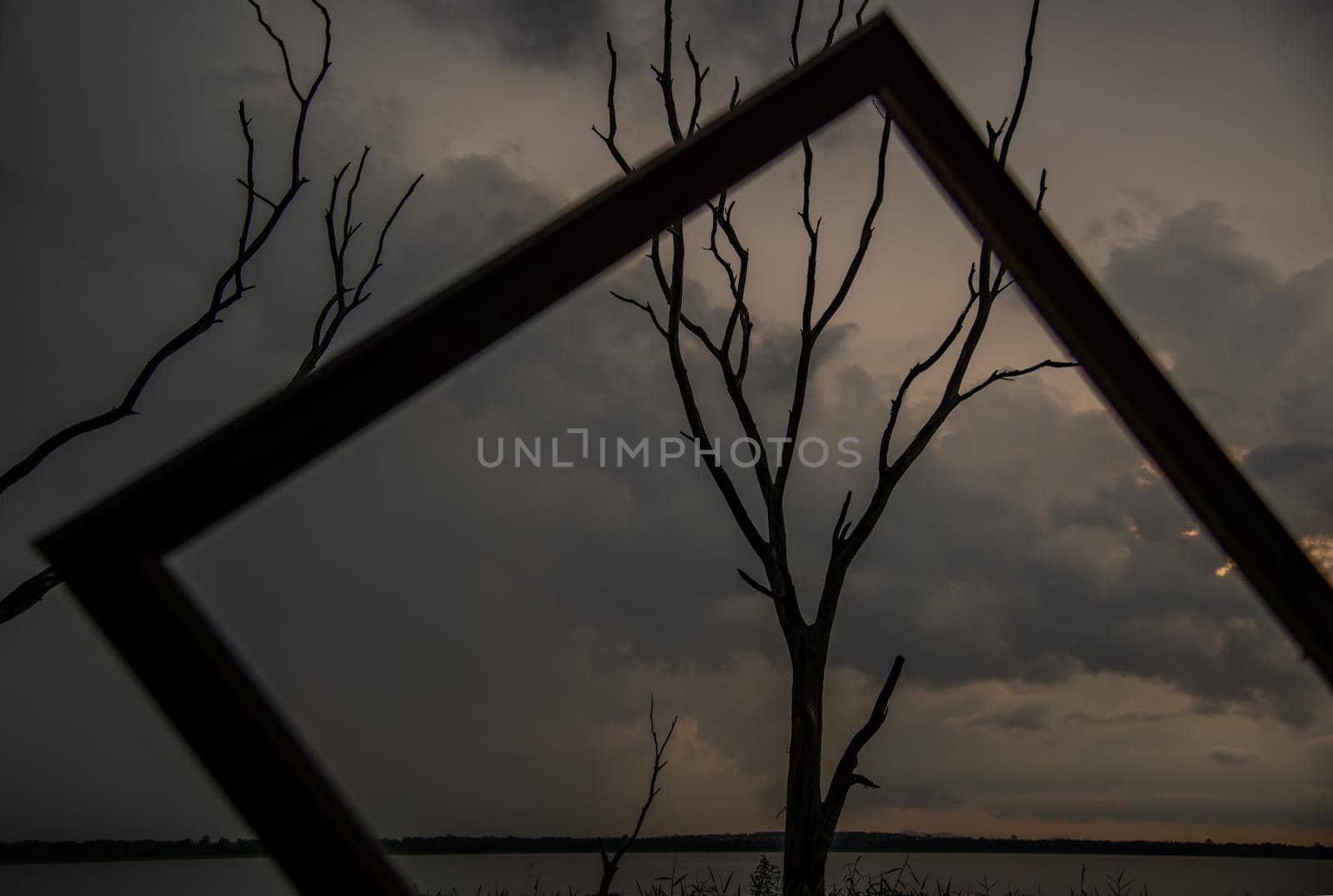Portrait of landscape of sunset sky with dry tree looking through at empty photo frame at Bang Pra reservoir at Chonburi Province, Thailand