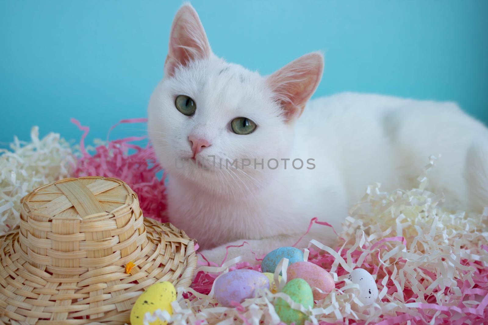 A cute white cat lies on the tinsel next to eggs and a straw hat. Easter Concept.
