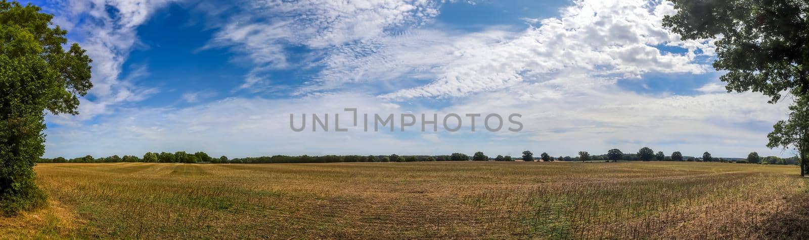 Beautiful high resolution panorama of a landscape with fields and green grass found in Denmark and Germany. by MP_foto71