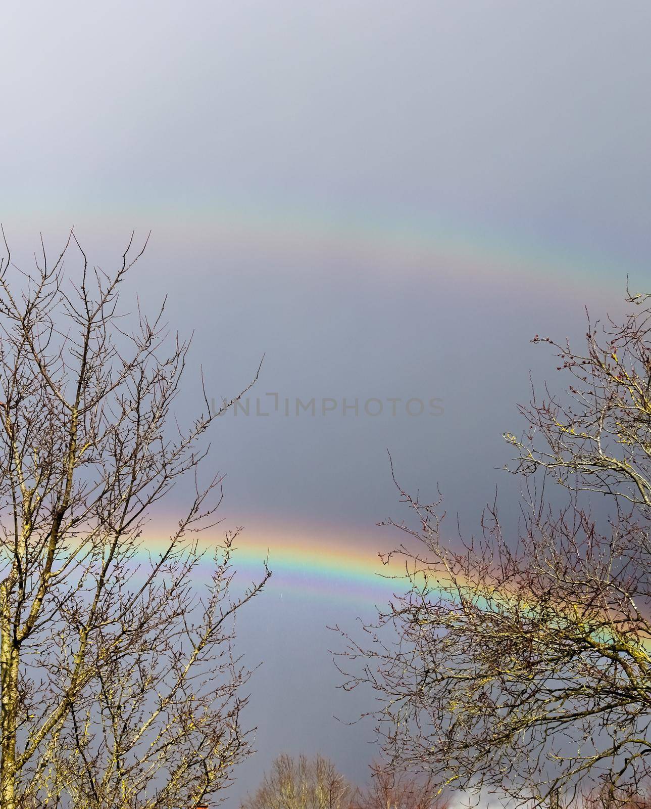 Stunning natural double rainbows plus supernumerary bows seen in northern germany.