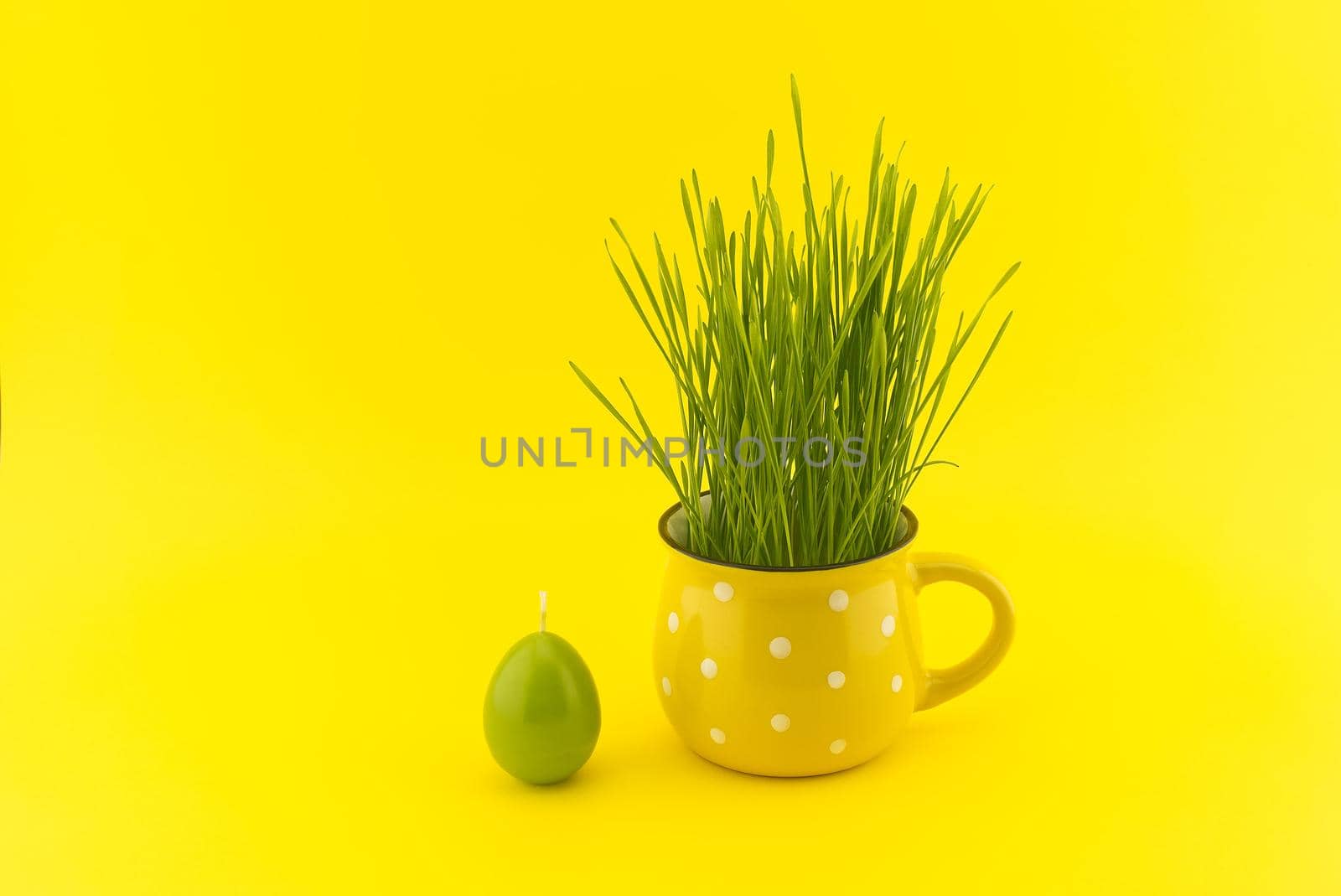Wheat seedlings growing from yellow cup and green egg shaped candle isolated on yellow background with copy space for text