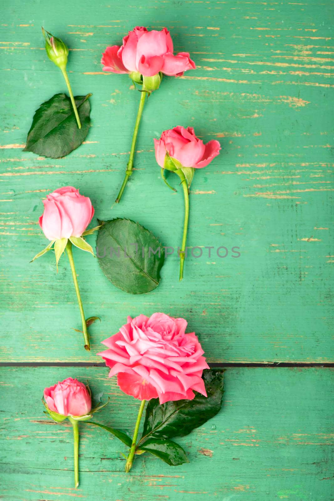 Romantic floral frame background Pink roses on wooden background