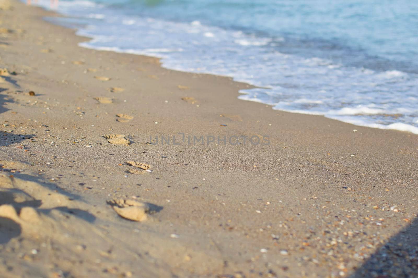 Footprint on sand at the beach. Copy space