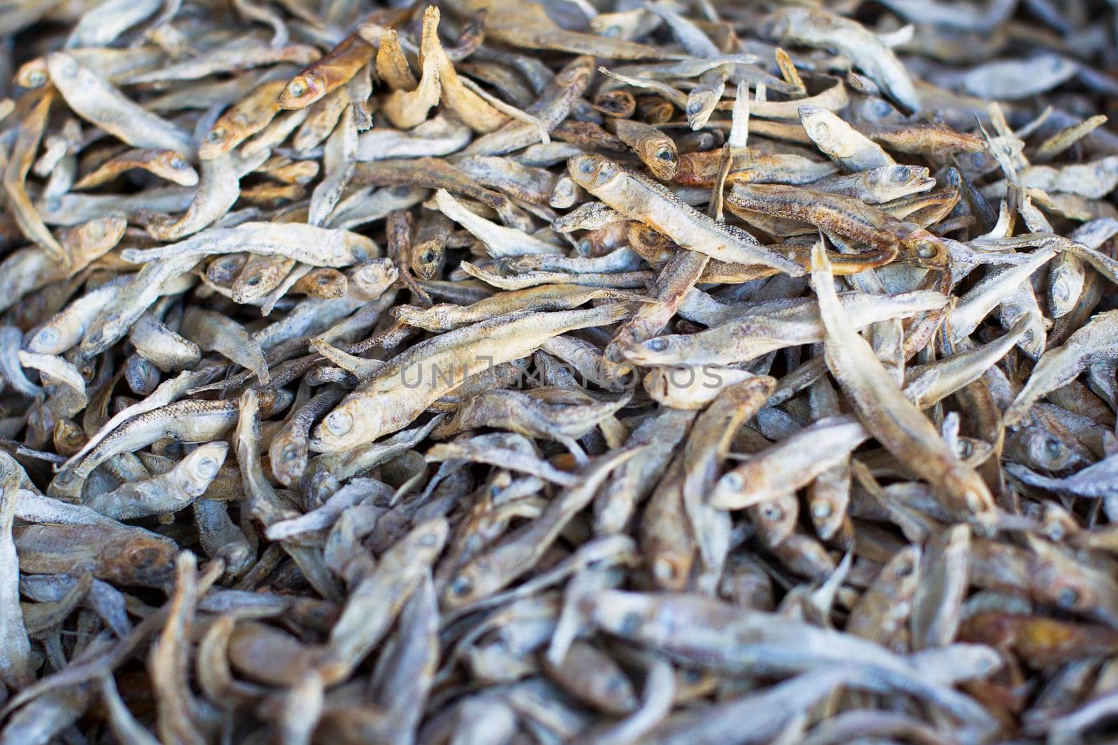 Small dried fish. Taranka