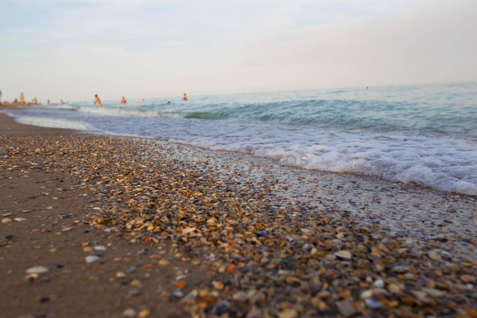 Seashore with sand and shells away in the distance