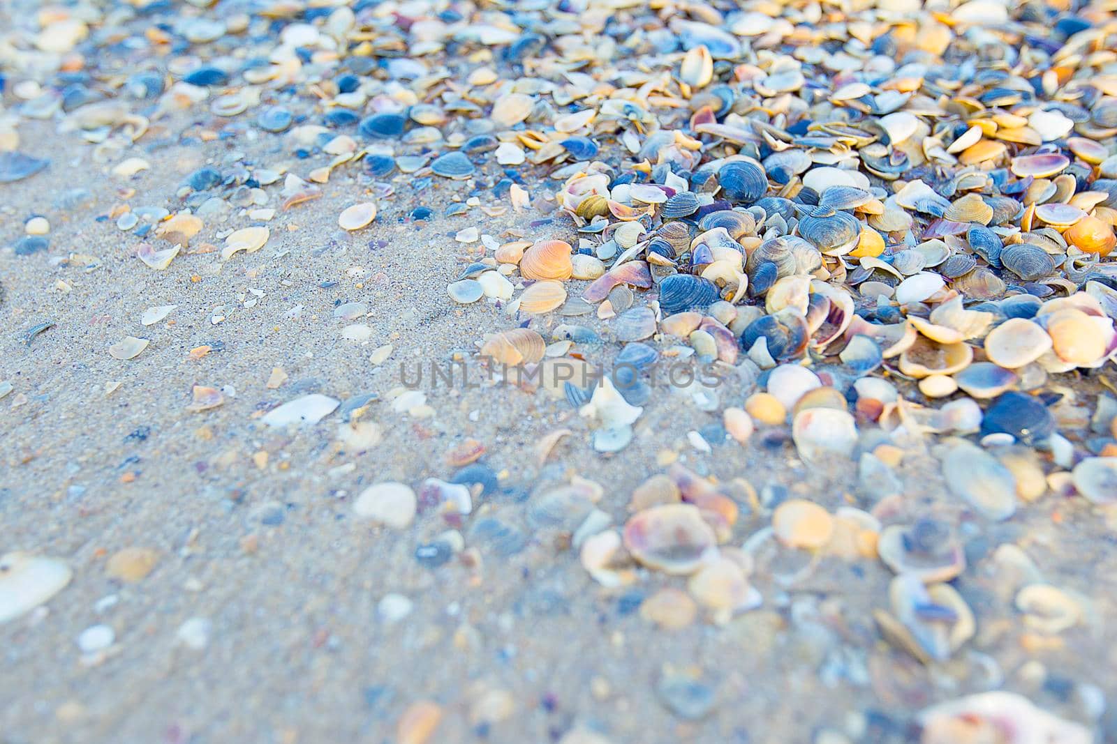 Stones and shells on sand