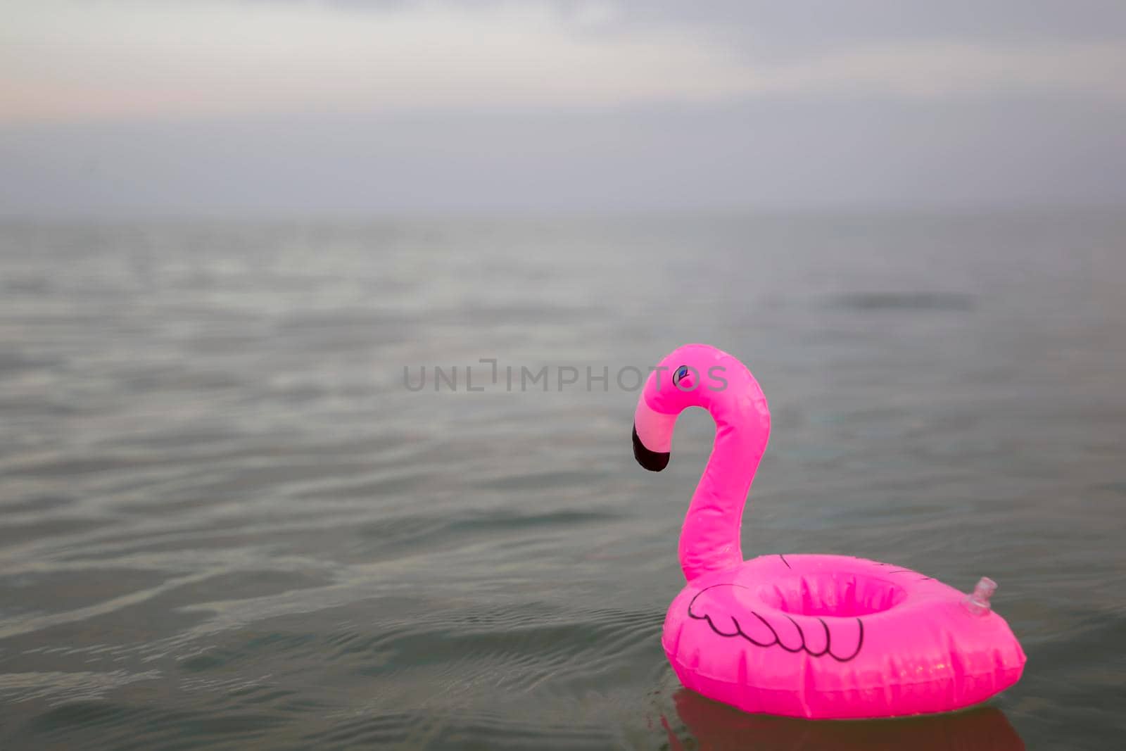 Pink flamingo inflatable on the background of the sea
