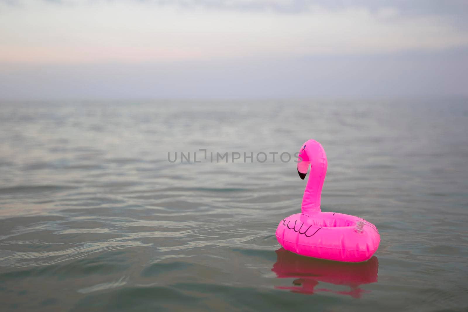 Pink flamingo inflatable on the background of the sea