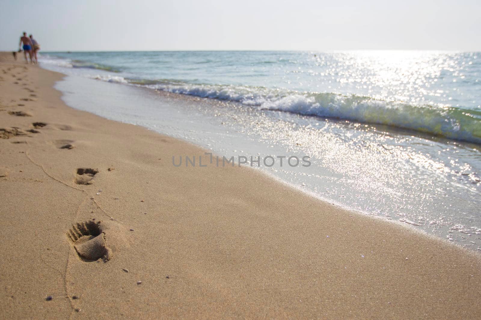 Footprints in the sand of people walking along the shore