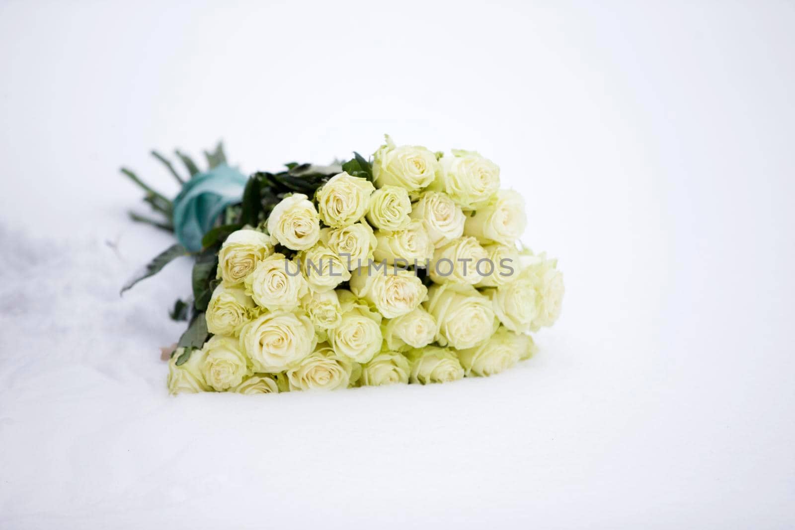 A bouquet of white roses in the snow