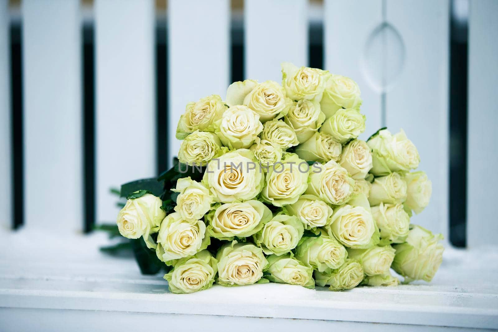 A bouquet of white roses on a white bench