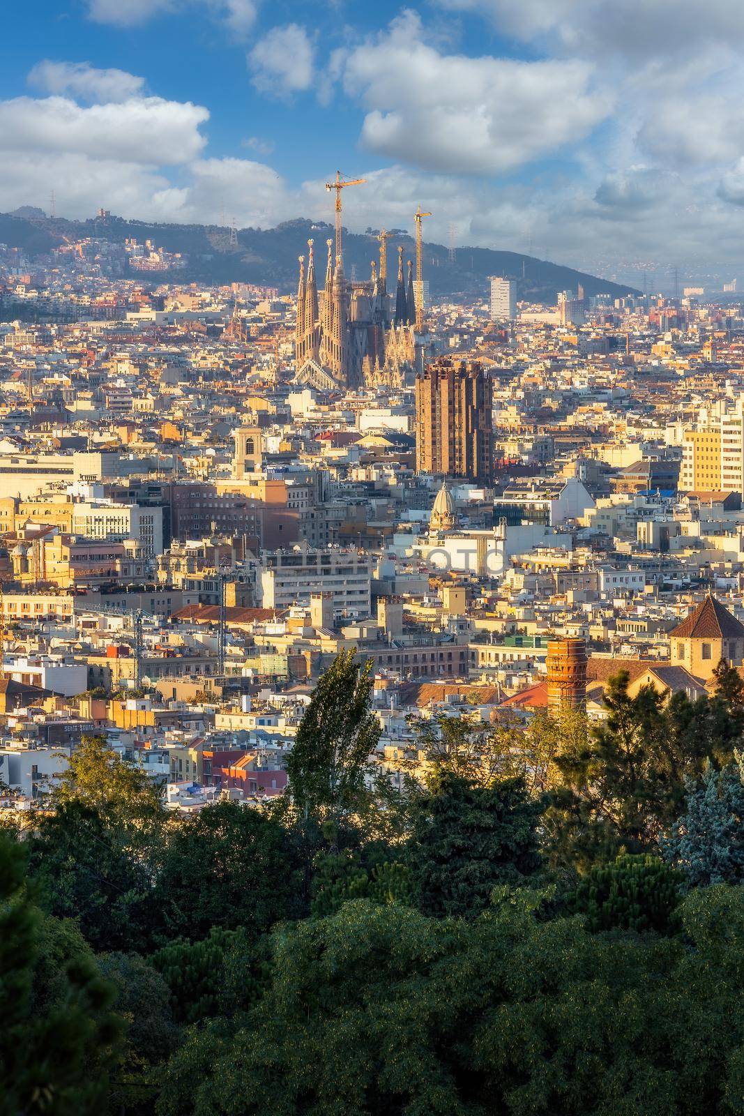 Vertical landscape of famous city Barcelona in Spain by Digoarpi