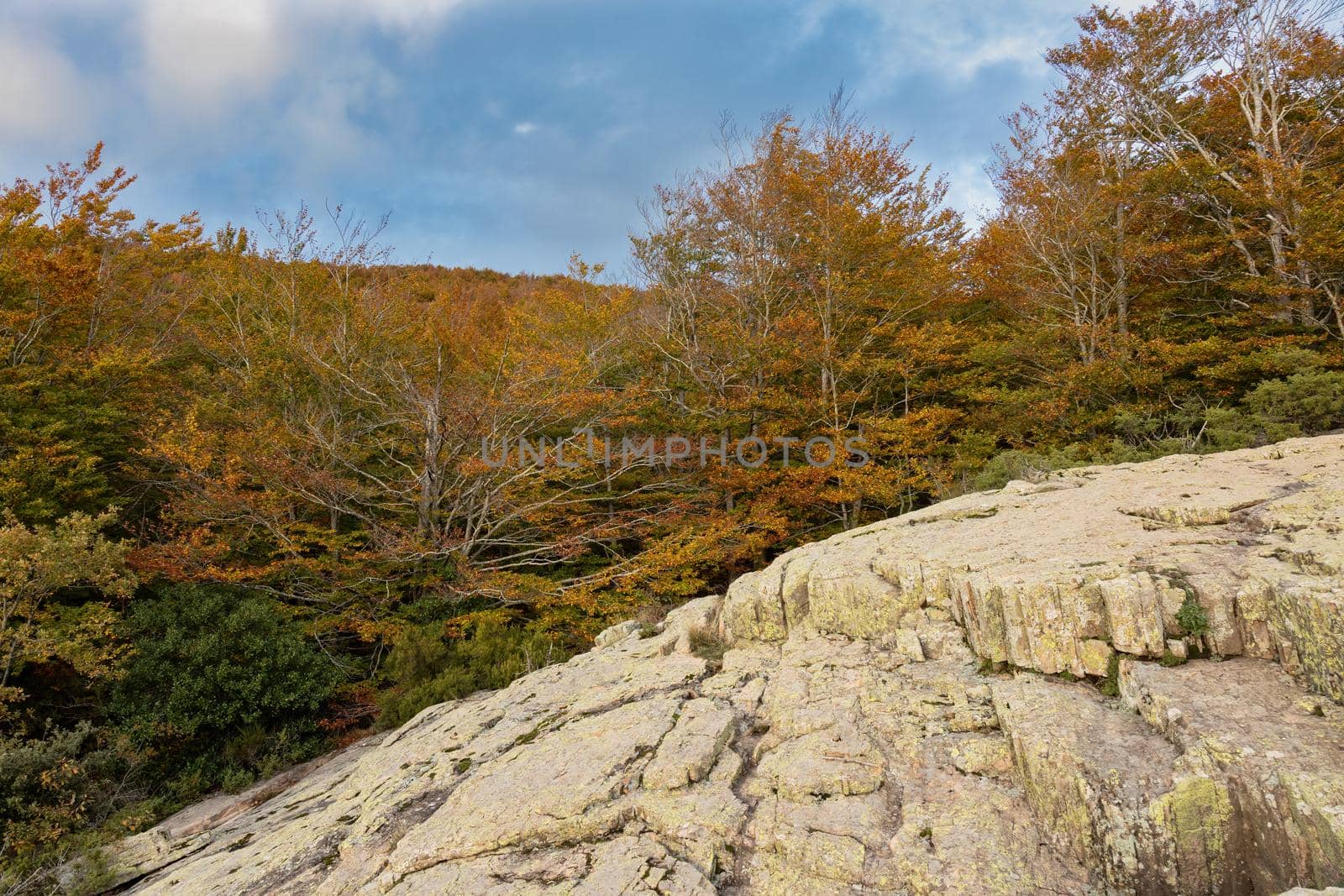 Autumn picture from Spanish mountain Montseny, near Santa fe del Montseny, Catalonia