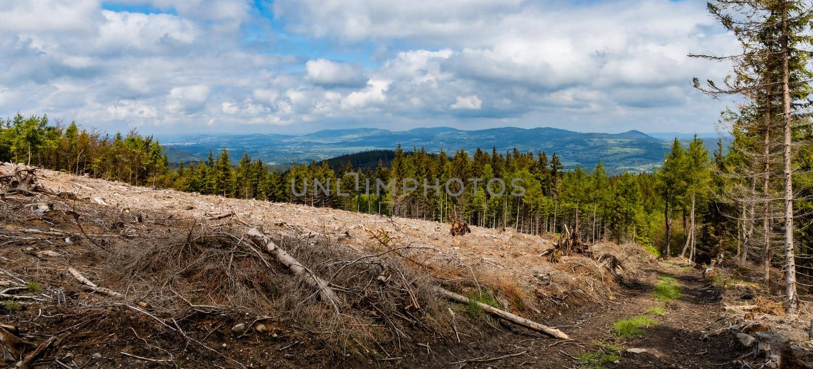 Panorama of Rudawy Janowickie mountains with small glade with felled trees  by Wierzchu