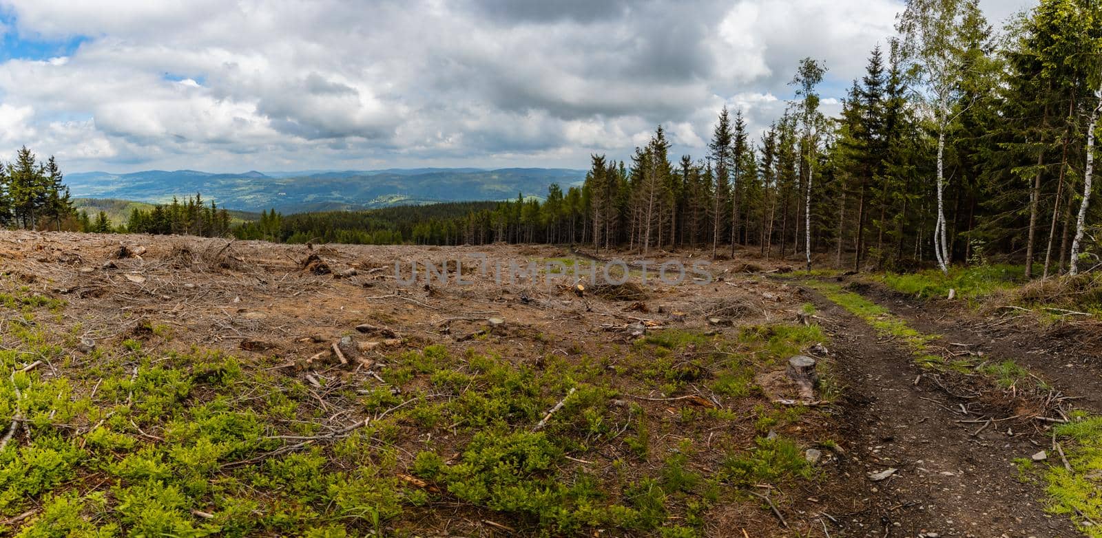 Panorama of Rudawy Janowickie mountains with small glade with felled trees  by Wierzchu