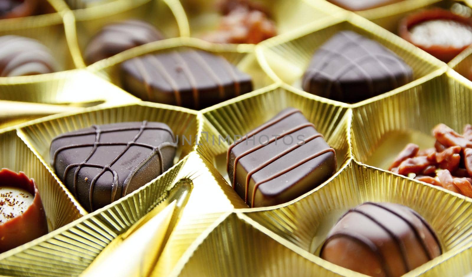 Selection of fine milk and dark chocolate belgian pralines.