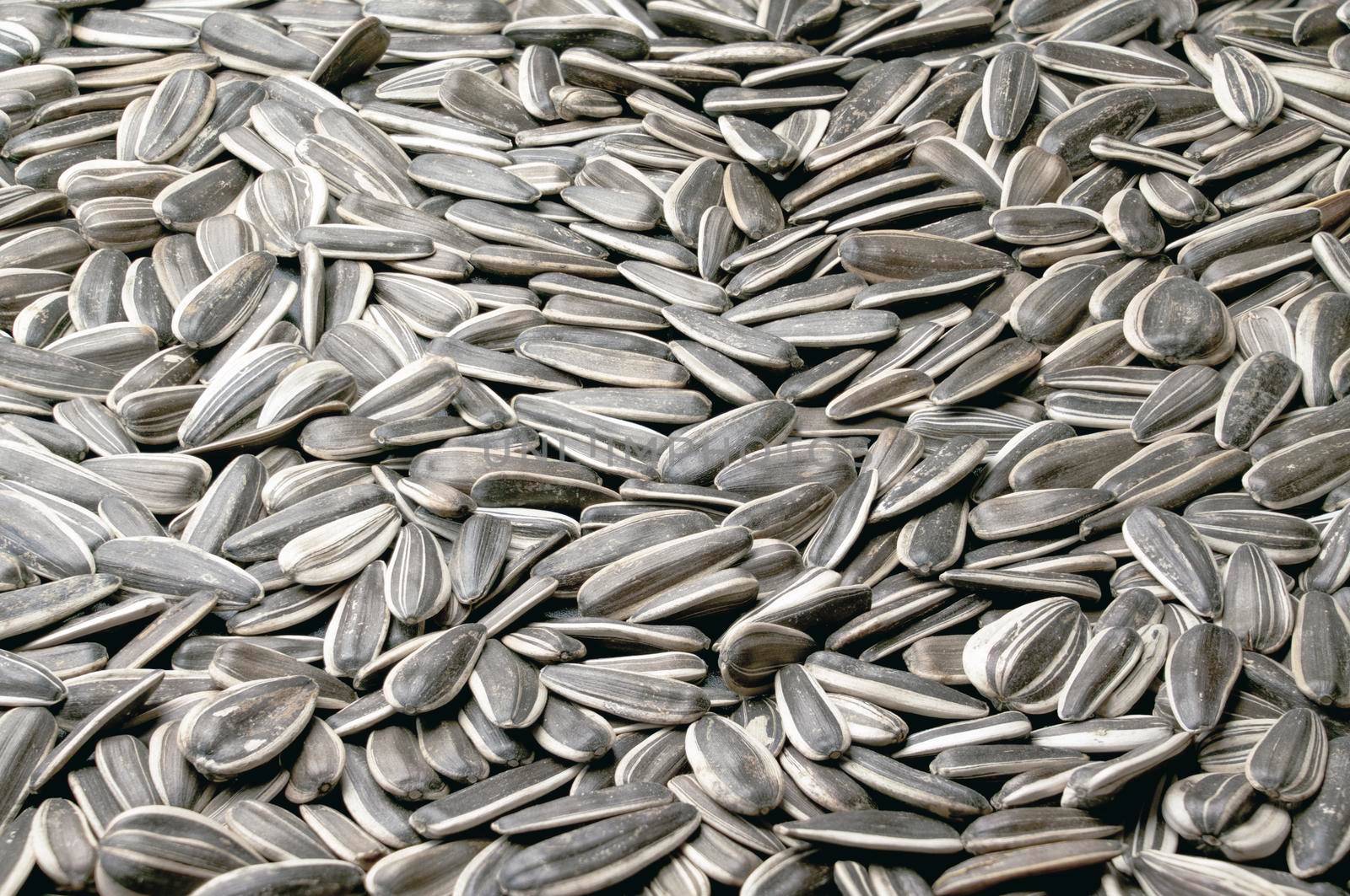 sunflower seed texture close - up as background. High quality photo