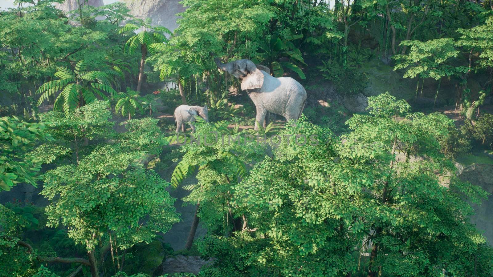 An African elephant with a baby elephant is eat plants in the green jungle. A look at the African jungle.