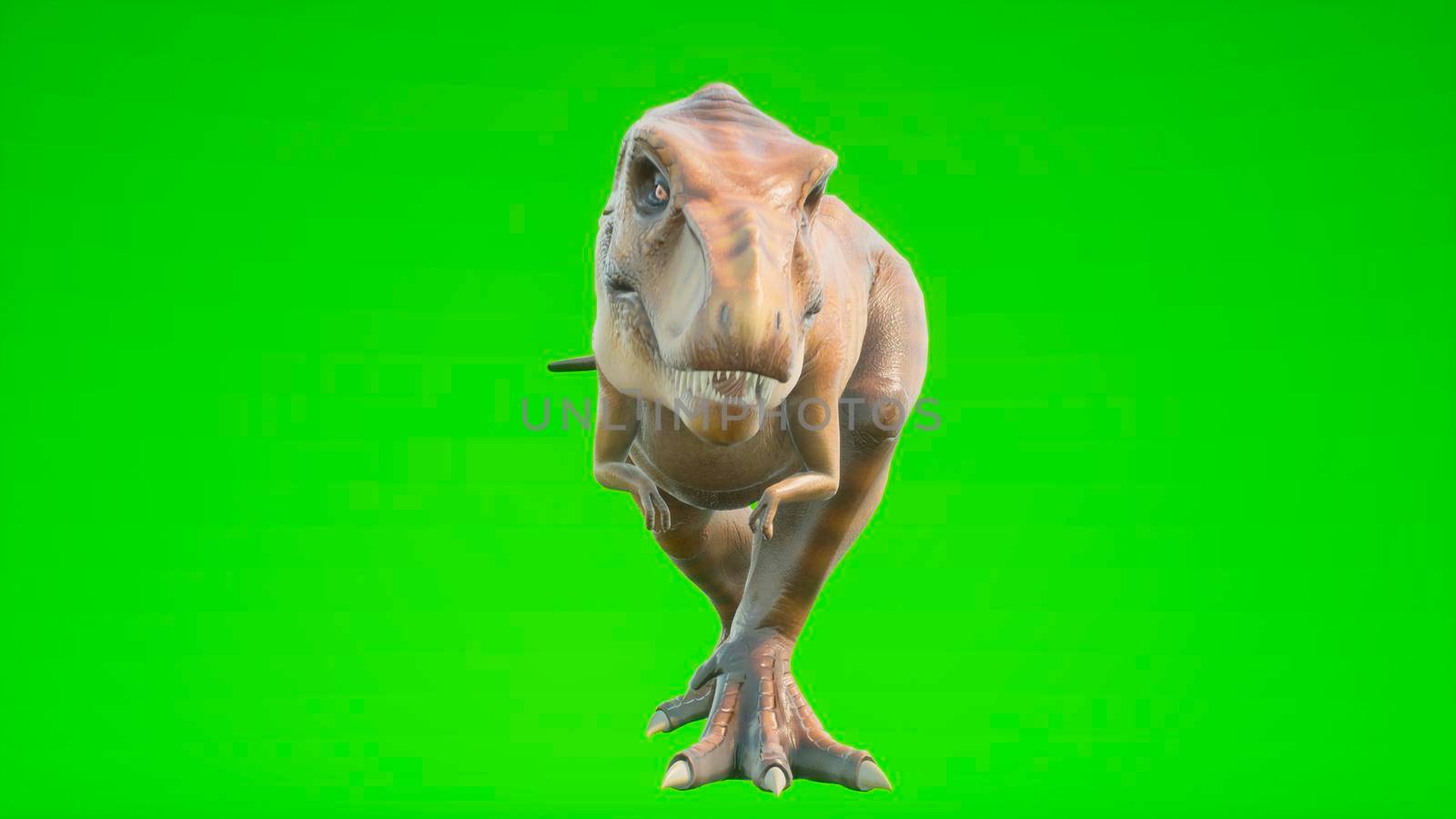 Angry Dinosaur T-Rex walks in a looping seamless animation. Reptile in front of green screen. 3D Rendering. by designprojects