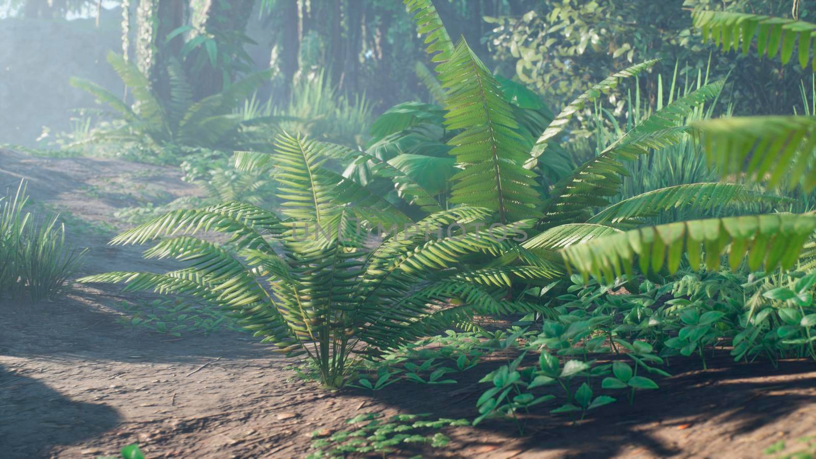 Beautiful jungle and green ferns in the rainforest. View of the green forest in the jungle on a sunny morning. 3D Rendering. by designprojects