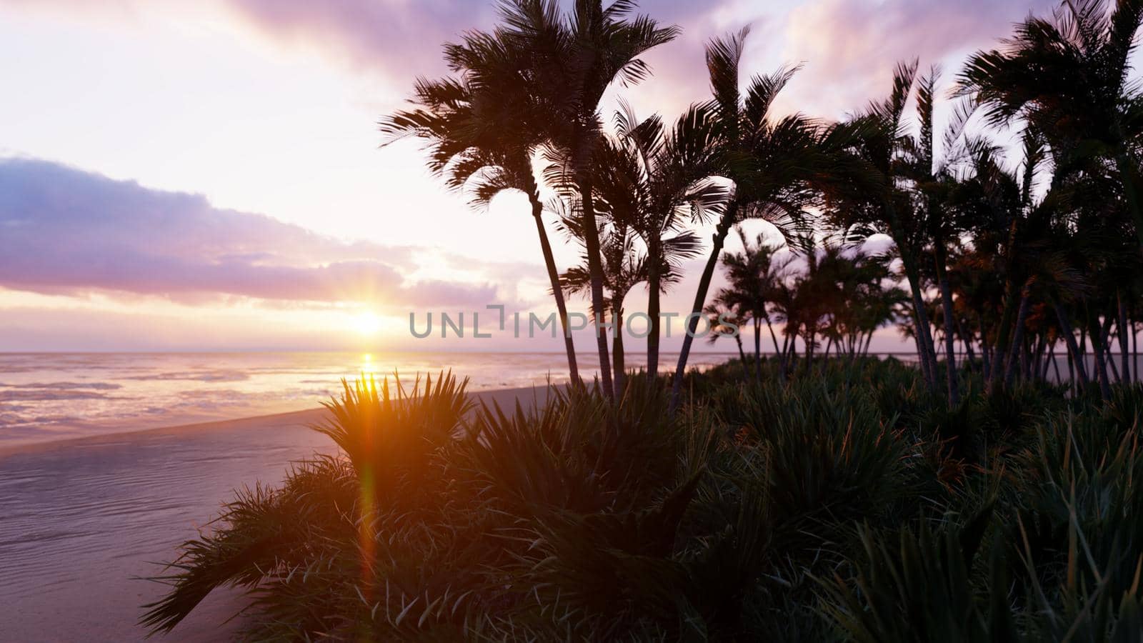 Amazing evening sunset over the endless sea. Blue sky, yellow sun, palm trees, endless sea and seascape. Summer, an beautiful sunset on the sea coast. 3D Rendering by designprojects