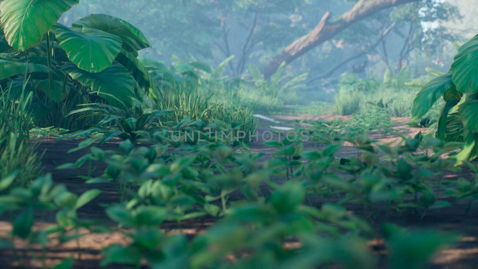 Beautiful jungle and green ferns in the rainforest. View of the green forest in the jungle on a sunny morning. 3D Rendering. by designprojects